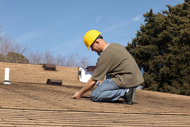 Best Roof Insulation Installation  in York, AL